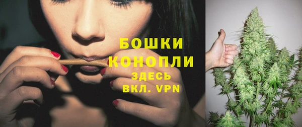 ГАЛЛЮЦИНОГЕННЫЕ ГРИБЫ Баксан