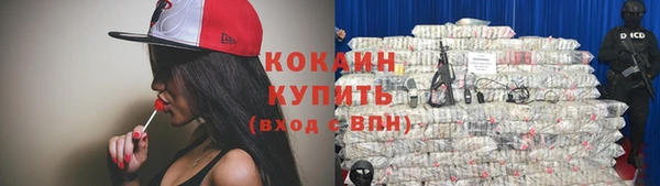 дживик Балахна