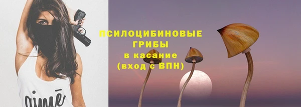 ГАЛЛЮЦИНОГЕННЫЕ ГРИБЫ Баксан