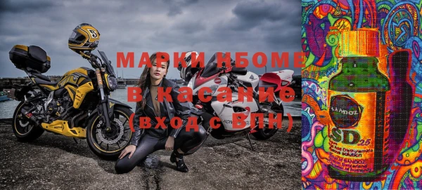 ГАЛЛЮЦИНОГЕННЫЕ ГРИБЫ Баксан