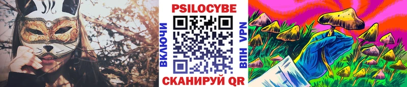 Псилоцибиновые грибы Psilocybine cubensis Буйнакск